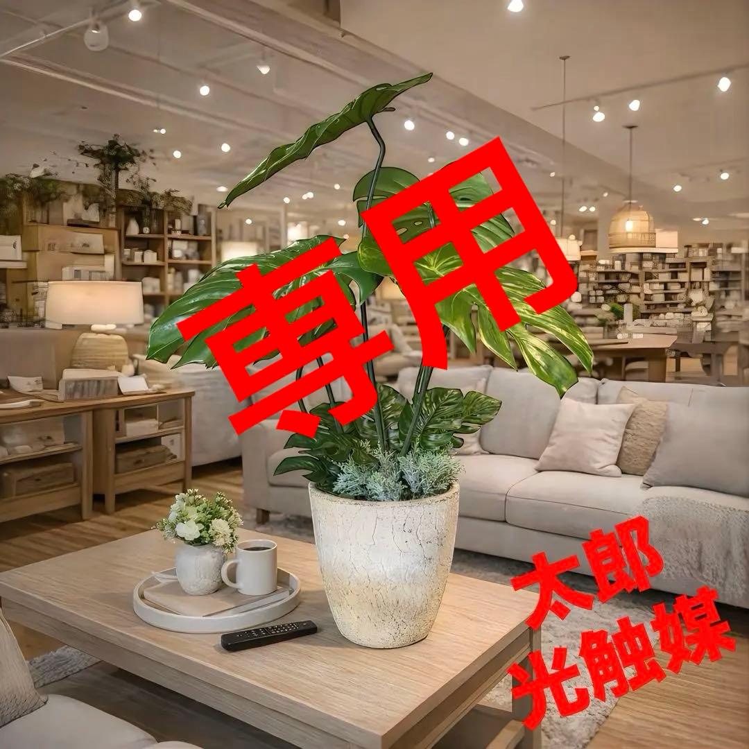 光触媒　人工観葉植物　ウォールグリーン　フェイクグリーン　バリ風特大モンステラ3 光触媒 人工観葉植物 ウォールグリーン 造花 インテリア oモンステラ
