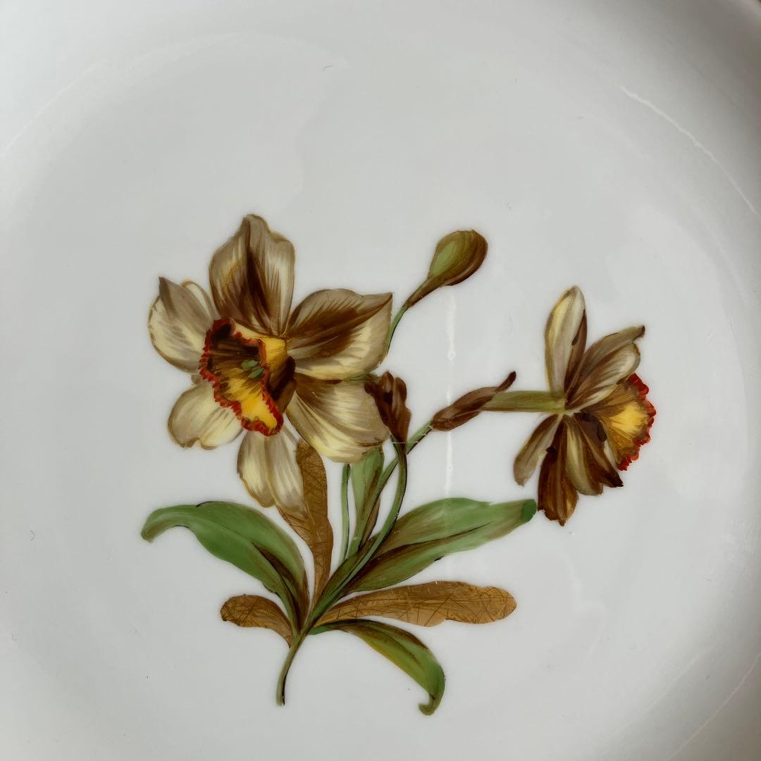 アンティークマイセン 金の葉を持つ水仙の花 プレート