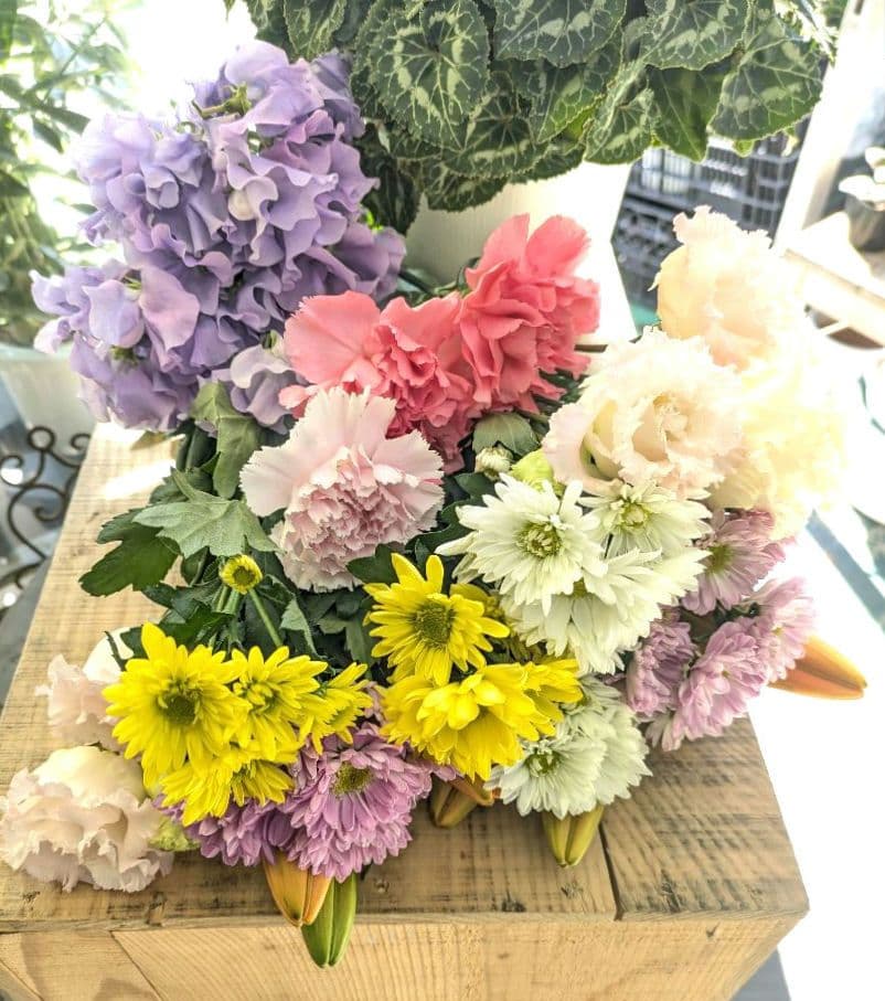 ❀みあり様❀