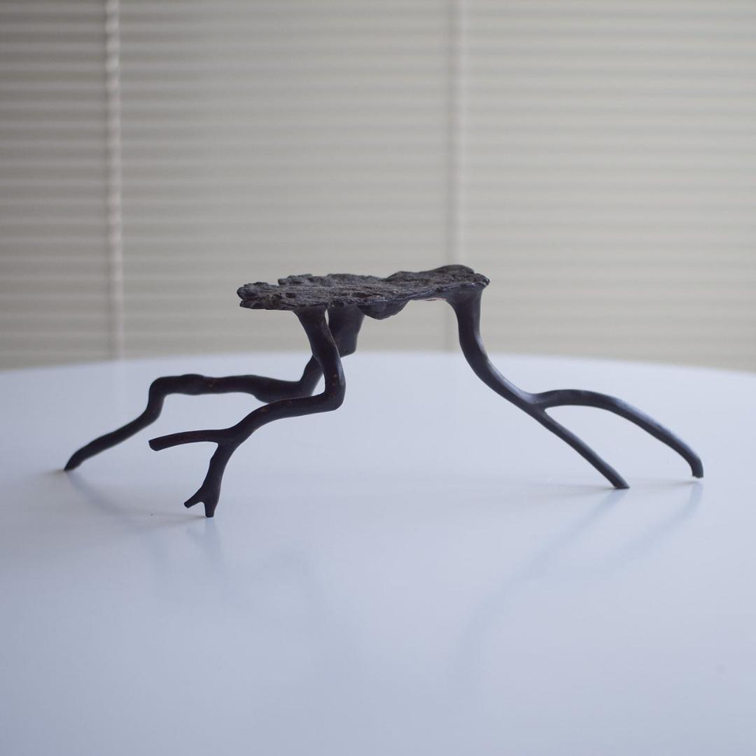 black coral / 黒珊瑚 置物 台 black coral / 黒珊瑚 置物 台 black coral / 黒珊瑚 置物 台