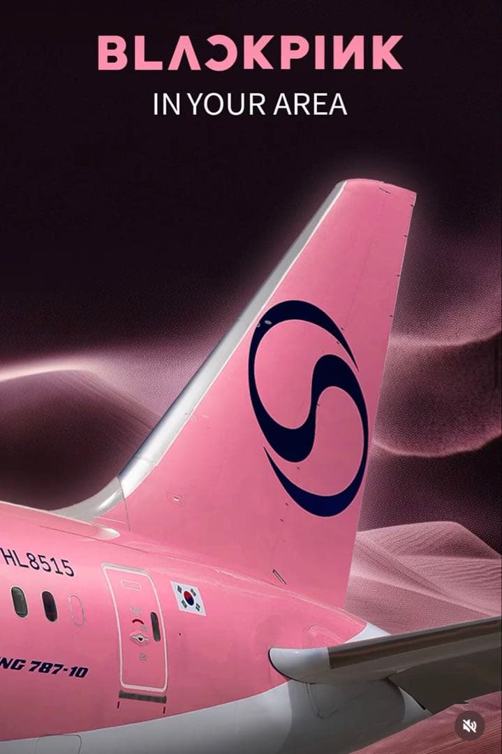 非売品/当選品】BLACKPINK 大韓航空 特別塗装機 モデルプレーン 模型