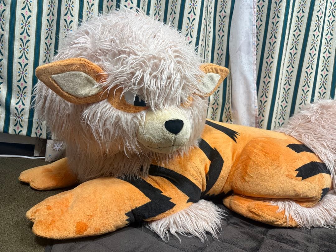 添い寝ウィンディ　ポケモンセンター　ぬいぐるみ ぬいぐるみ 添い寝ウインディ」がポケモンセンターオンラインで受注