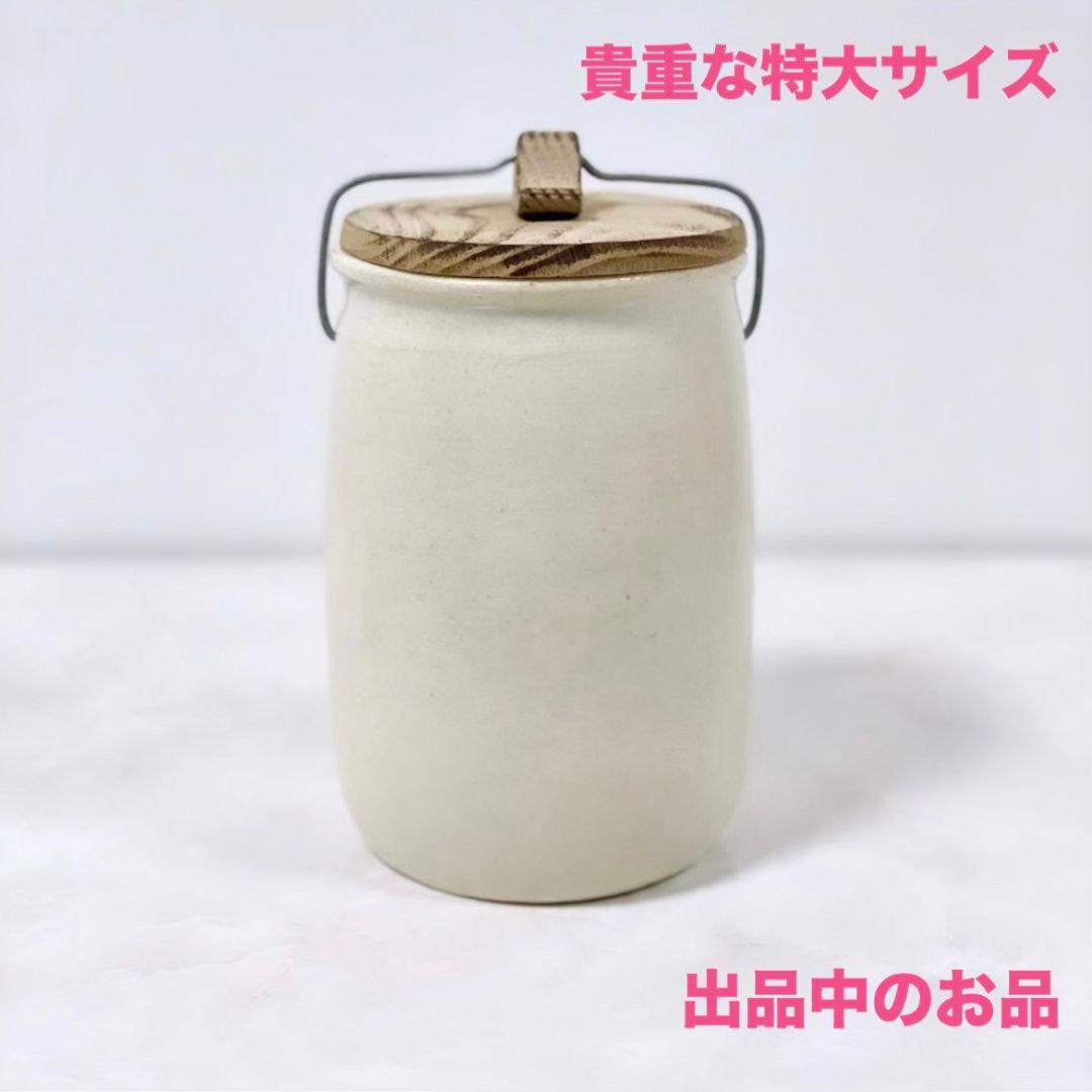 新品 三谷龍二 白漆1枚 伊藤聡信剛俊鈴木環辻和美河合竜彦山本美文岡晋吾さつき