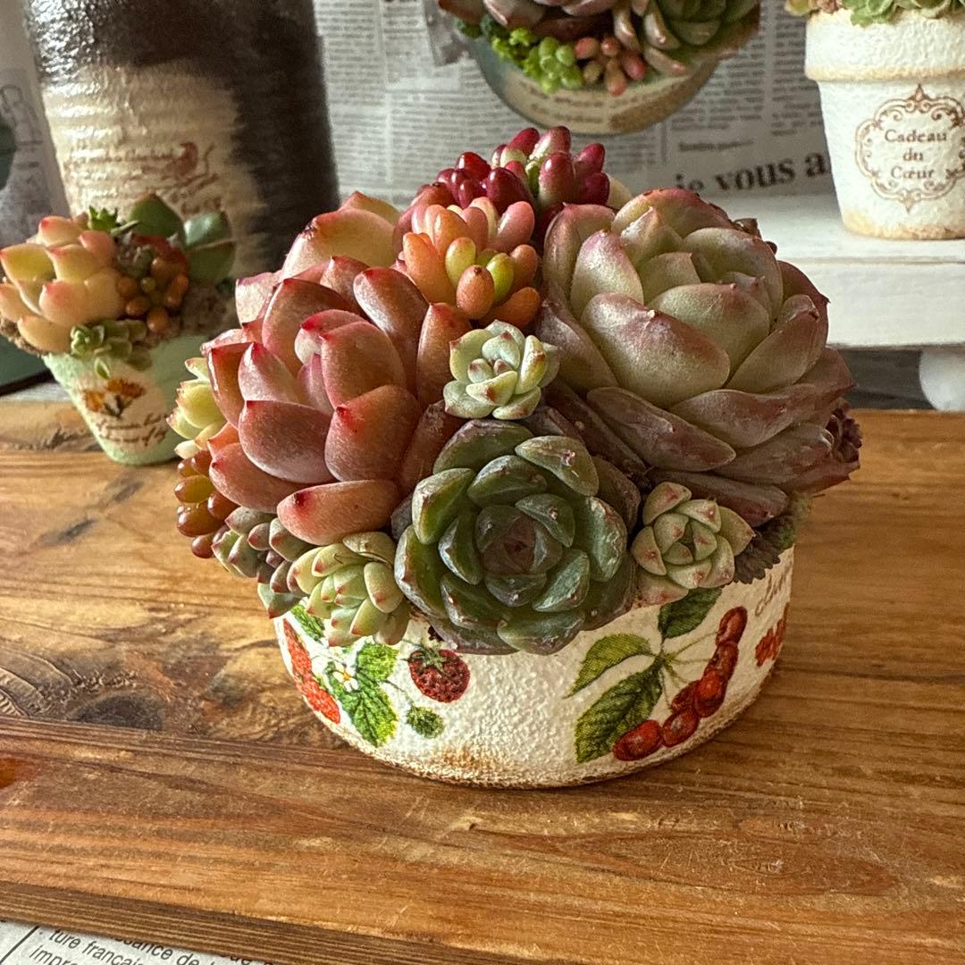 ❤︎fruits☆リメイク鉢❤︎ そのまま飾れる多肉植物寄せ植えリメ鉢ち