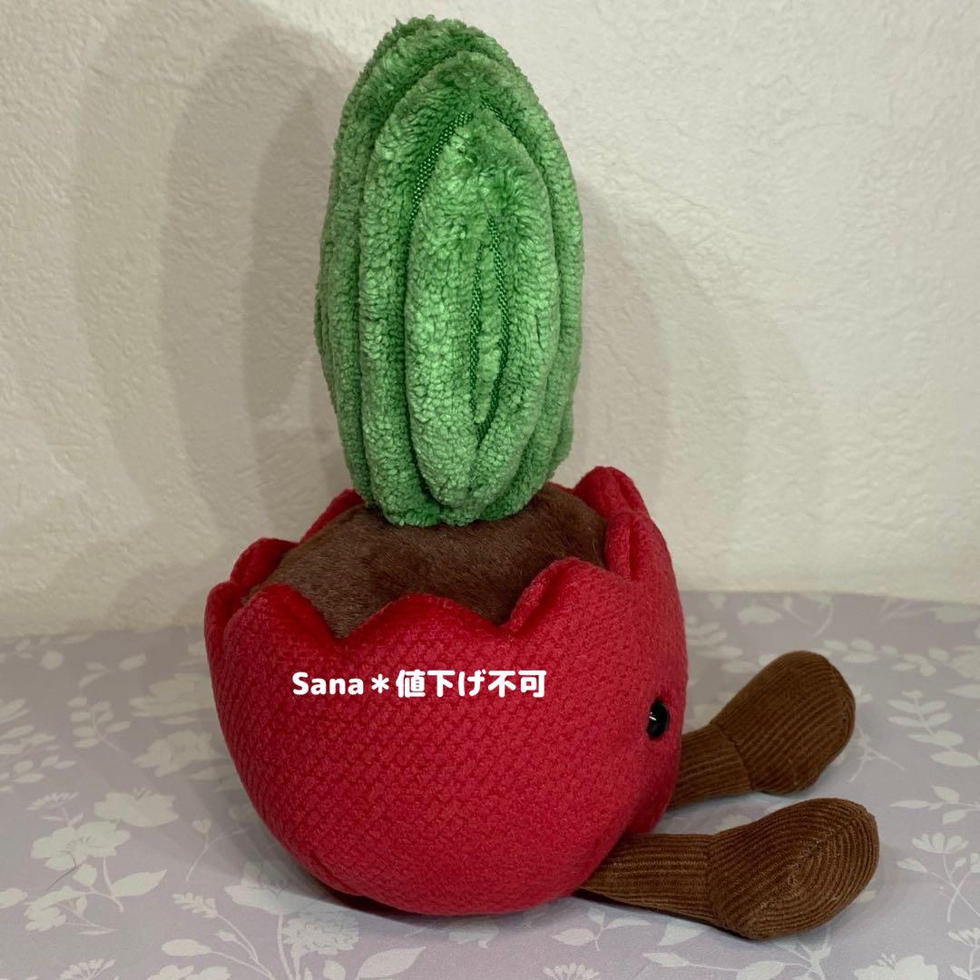 廃盤 新品 ジェリーキャット サボテン さぼてん 覇王樹 植物