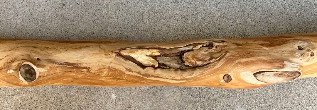 希少 樹齢150〜200年 杉枝 約143cm 鑑賞 庭 インテリア 骨董 華道