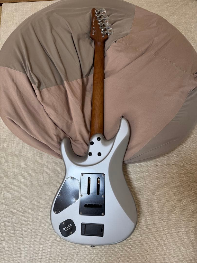 期間限定値下げ】2025年4月新品購入 Ibanez TOD 10 - メルカリ