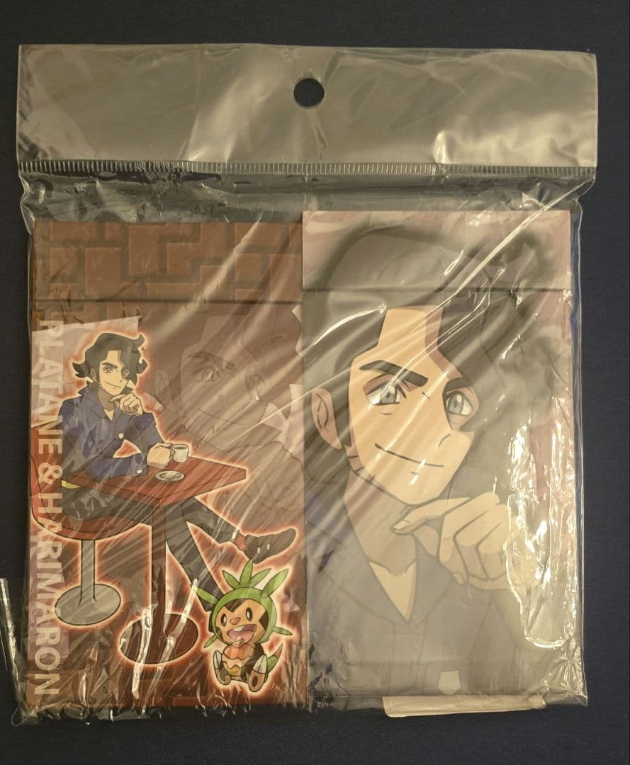 ポケモン プラターヌ 缶バッジ メモ ファイル