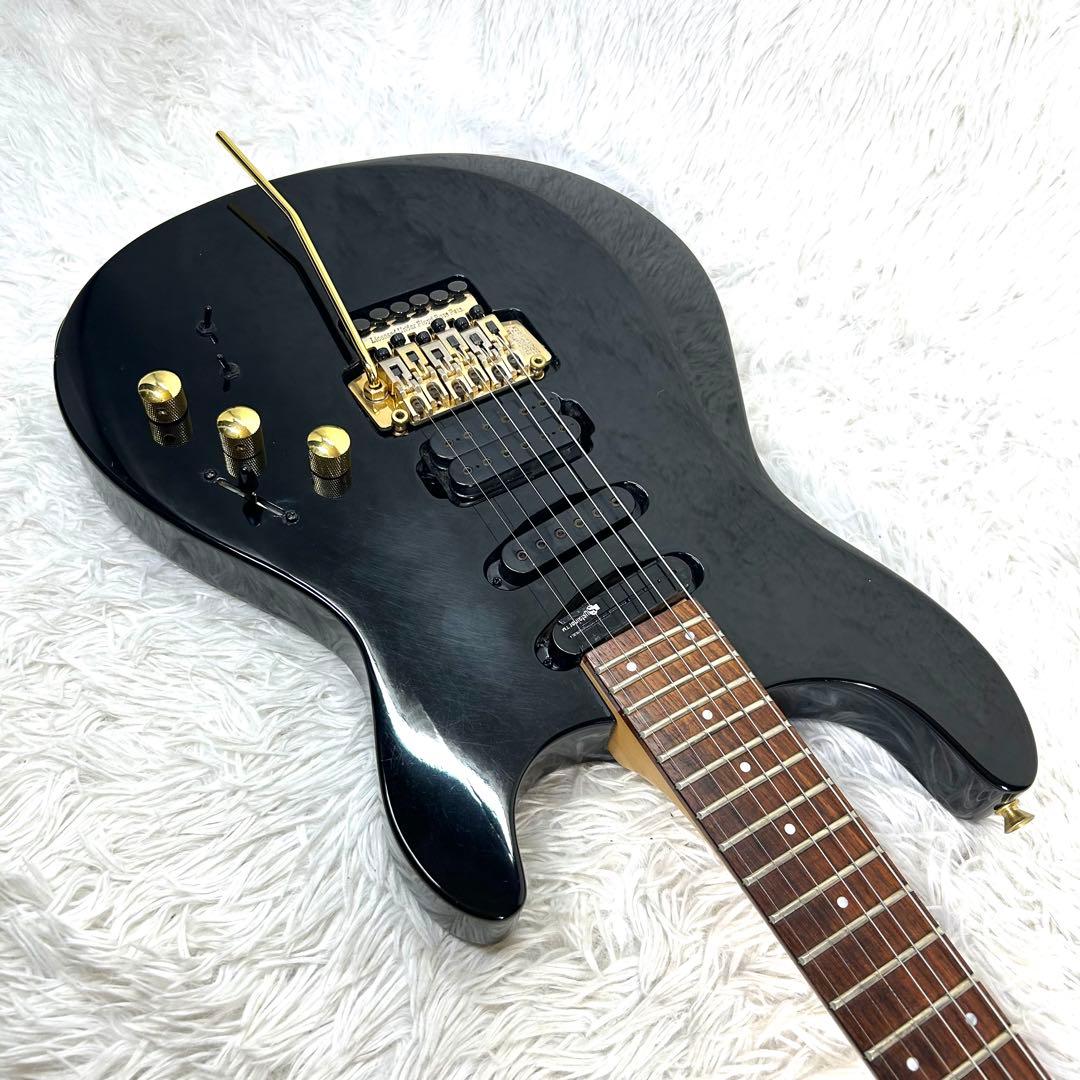希少】Fernandes APG-85S GLAY HISASHI愛用モデル - メルカリ