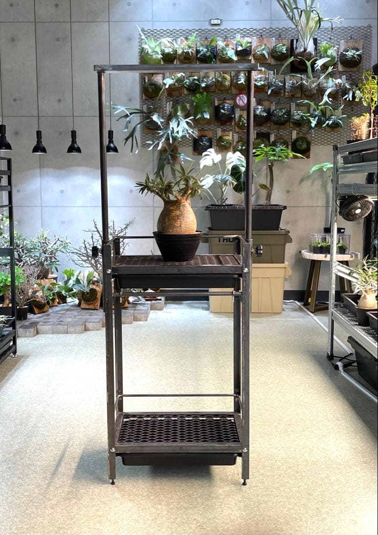 現物1台のみ　塗装前完成品　アイアン植物棚　ダクトレール、給水トレー付 楽天市場】水受けトレー付植物棚 ガベラック 植物棚 アガベ 塊根植物