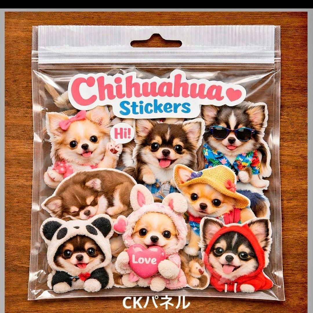 激レアパグ、チワワ、柴犬、トイプー、ポメラニアン、ダックス
