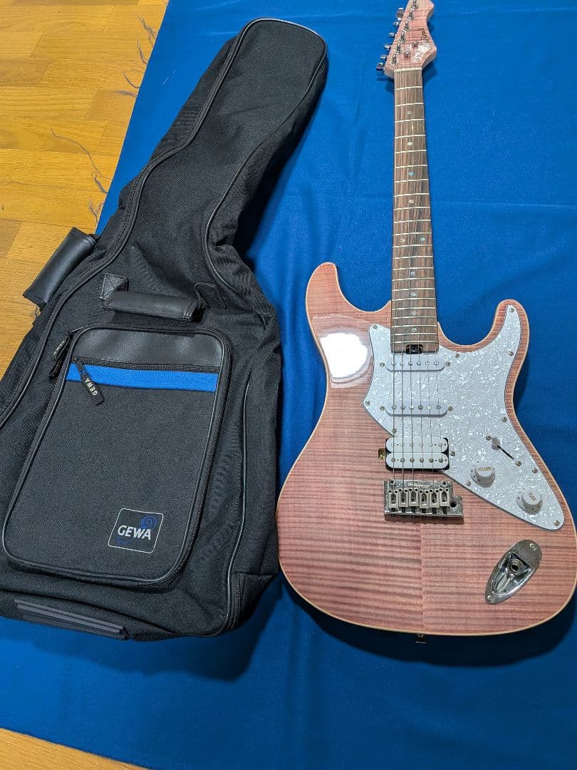 Aria Pro II 714-AE200ssPVギター ソフトケース付き - メルカリ