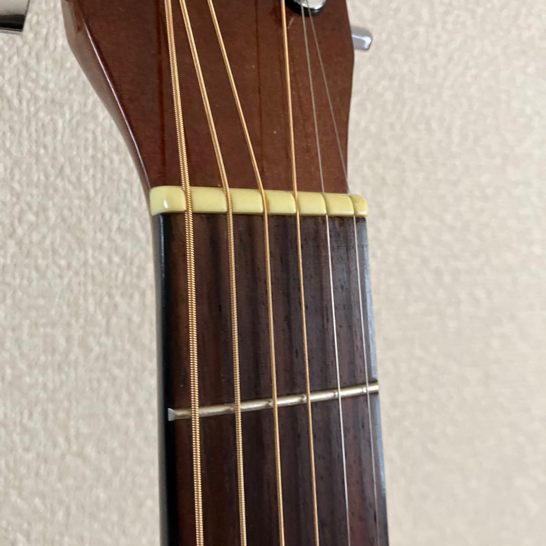 takamine T-P1 AN タカミネ パーラーギターアコースティックギター