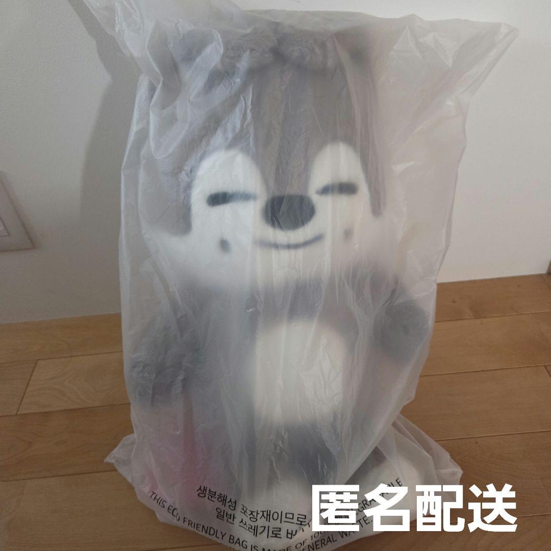 StrayKids スキズ テディベア Teddy Bear ウルフチャン SKZOO PLUSH ORIGINAL Ver. - Wolf Chan – JYP JAPAN ONLINE STORE