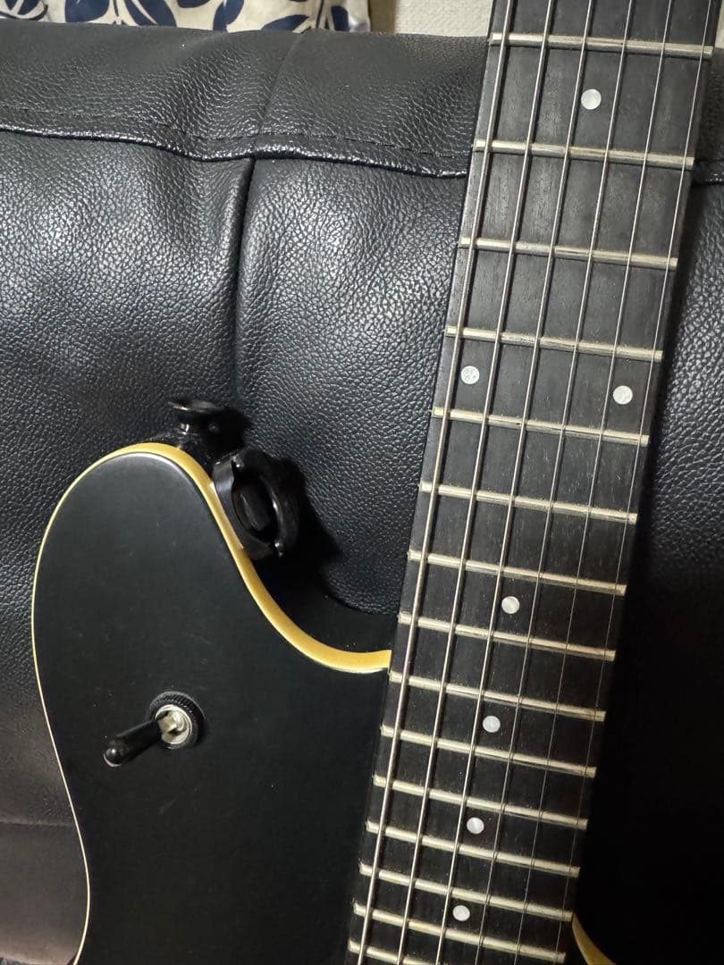 氏のために予約されています egusan33 EVH Wolfgang Sp - メルカリ