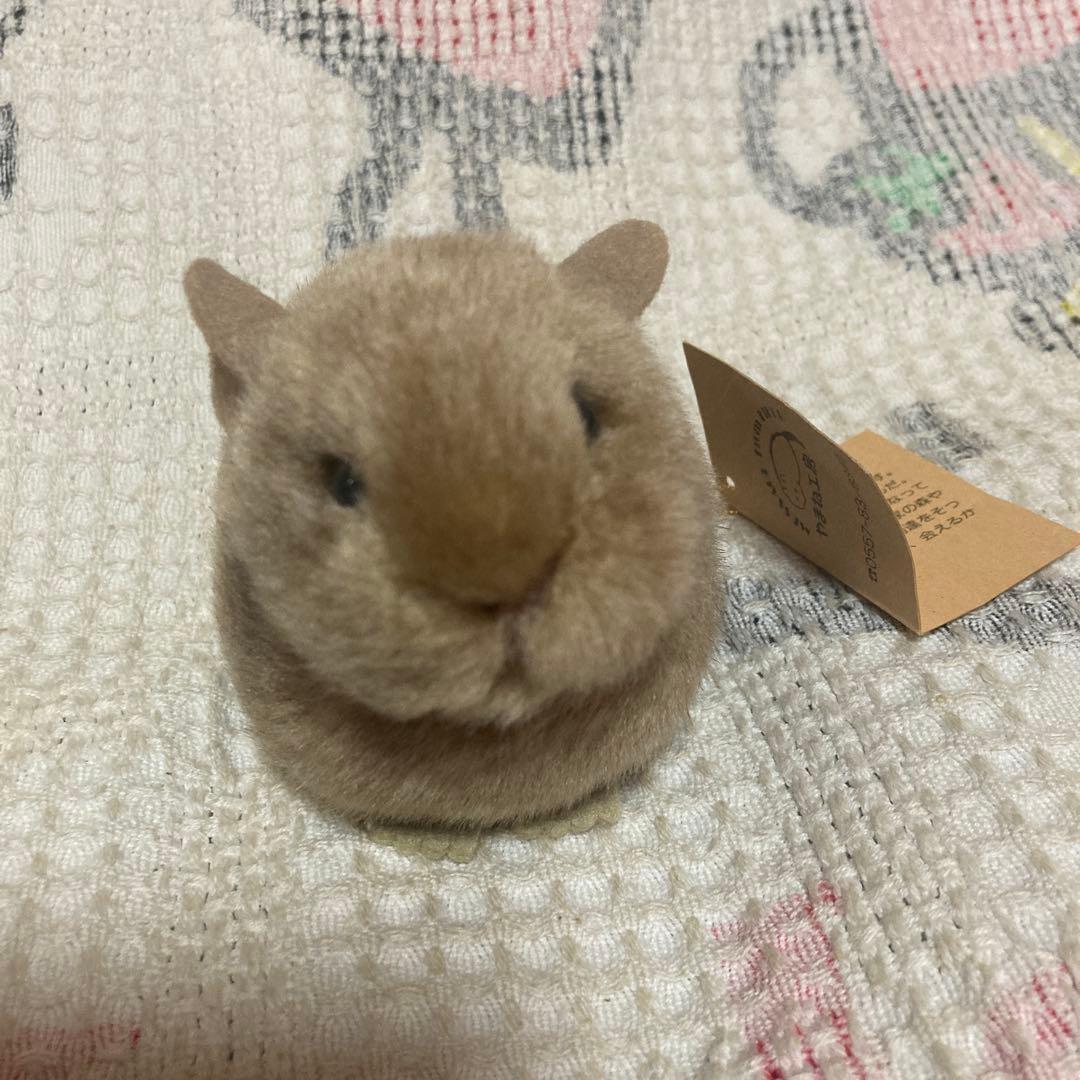 やまね工房 鳴く ナキウサギ ぬいぐるみ タグつき 中古品 - メルカリ