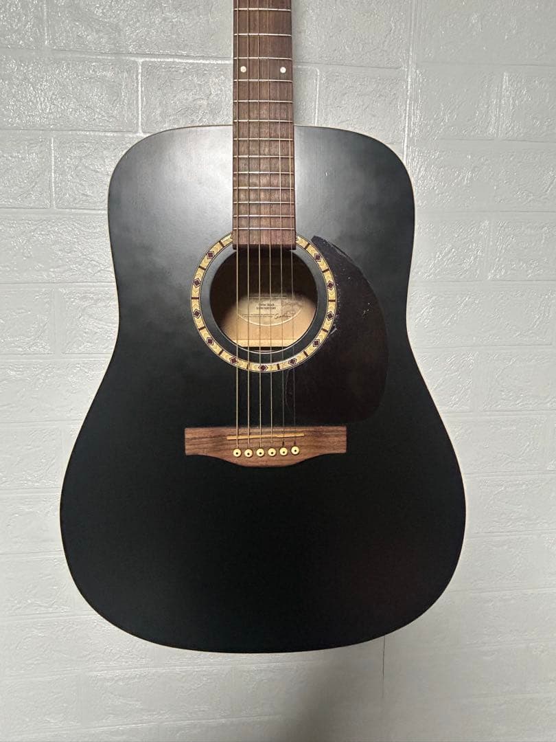 比較的美品】Godin Art&Lutherie Ceder Black - メルカリ