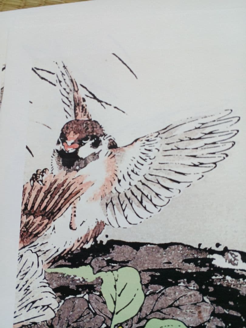 江戸屋版 媒嶺花鳥画譜第1編 27図 手作り古画修復 浮世絵風 - メルカリ