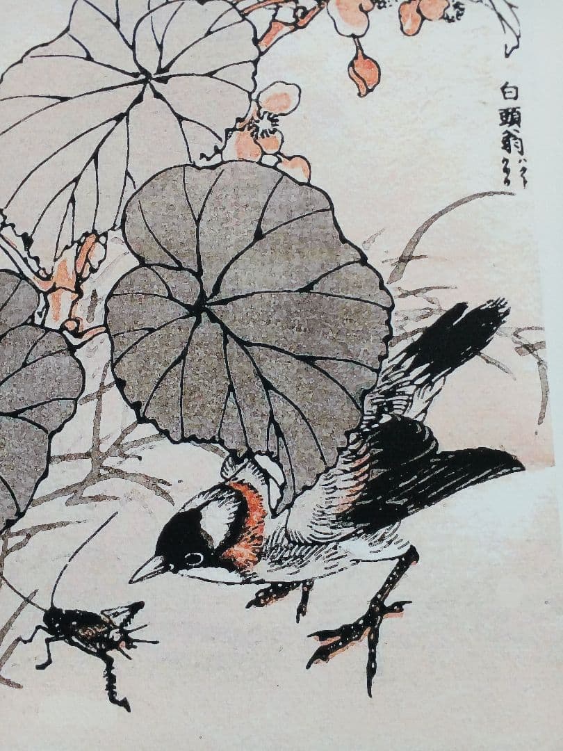 江戸屋版 媒嶺花鳥画譜第1編 27図 手作り古画修復 浮世絵風 - メルカリ