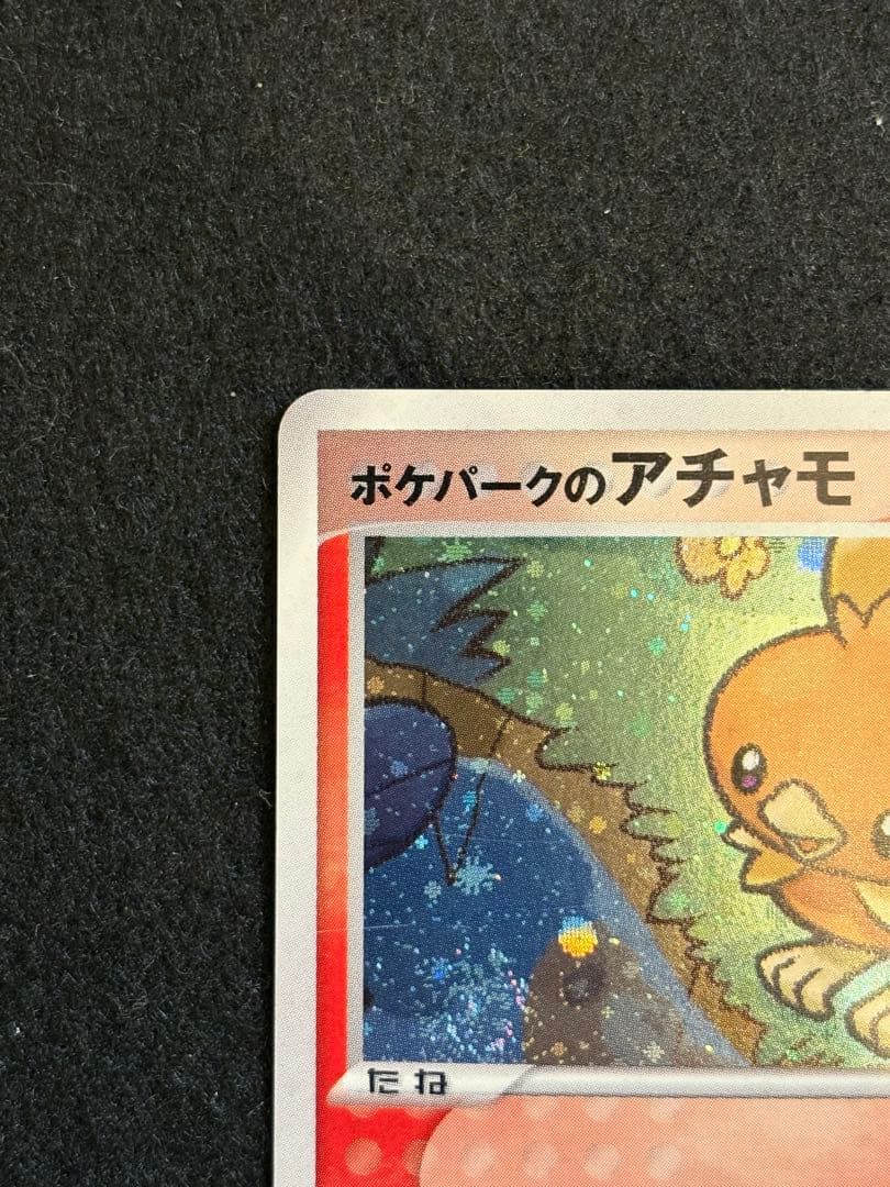 ポケパークのアチャモ ポケパークプレミアムファイル 002/009