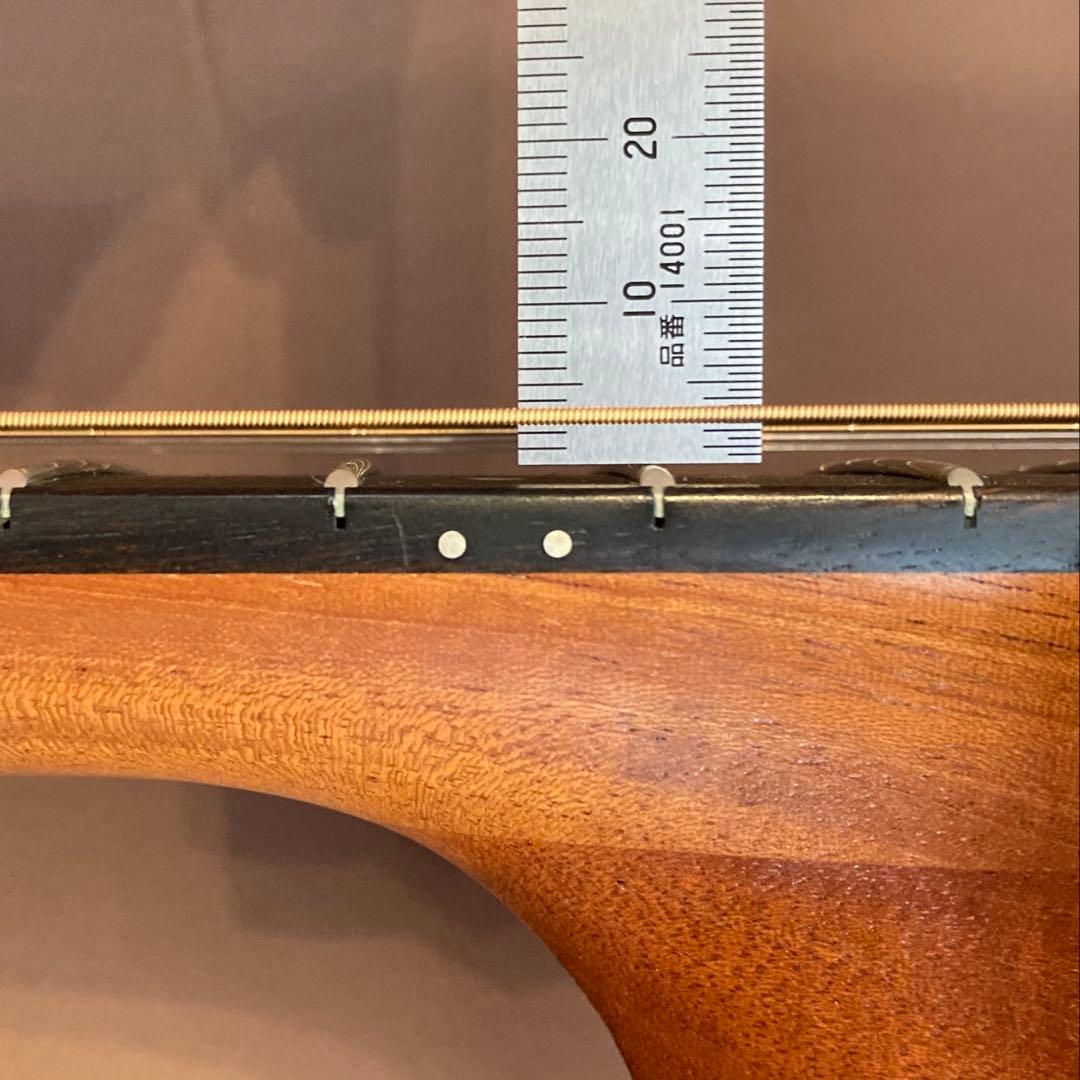 Taylor テイラー 114ce ギグケース付 トップスプルース単板 エレアコ