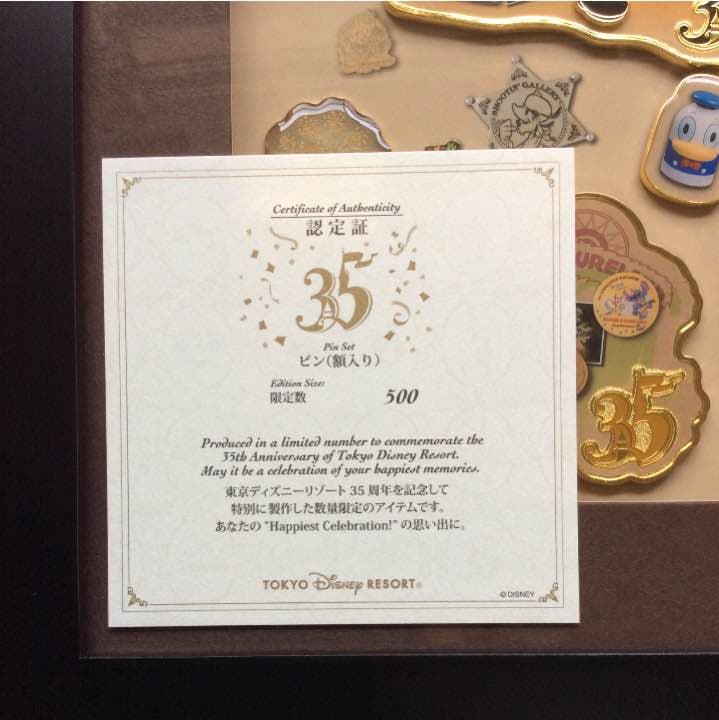限定 東京ディズニーランド 35周年ハピエストセレブレーション ピン(額