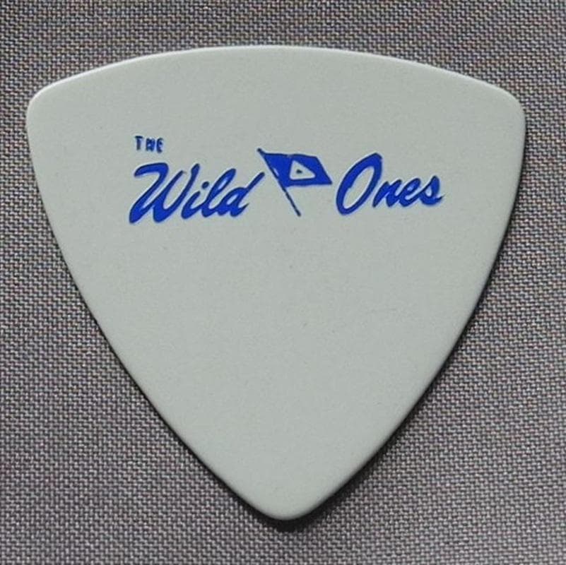 ザ・ワイルドワンズ The Wild Ones ギターピック Schecter 4541-SHC Wylde Audio Odin Grail 6 String RH Electric