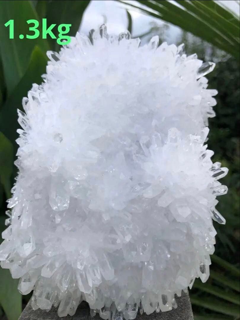 ✳ ❤️1.38kg 透明感拔群　高品質レムリアン の様な菊花水晶　クラスター