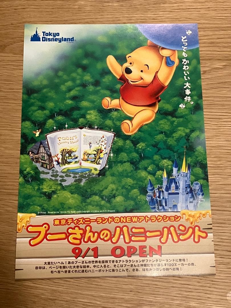 TDL 東京ディズニーランド プーさんのハニーハント グランドオープン