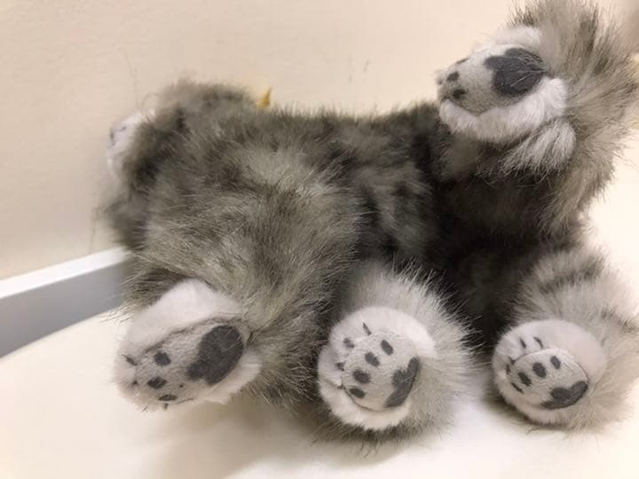 希少！アンティーク猫ちゃん シュタイフ社 Wiskaskatze - メルカリ