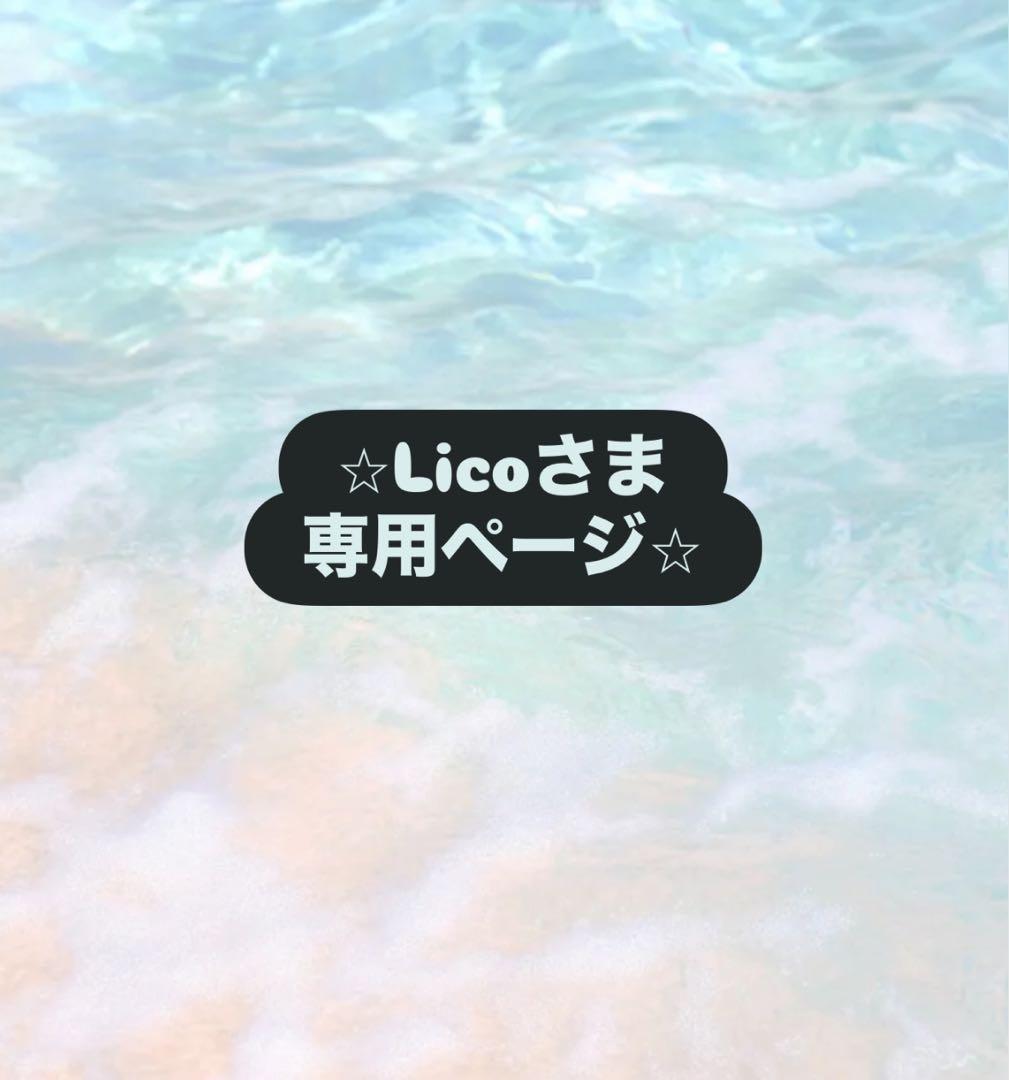 ⭐︎Licoさま専用ページ⭐︎ - メルカリ