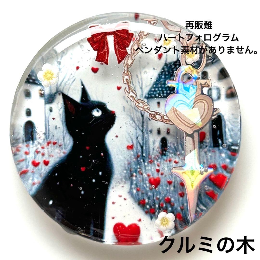 秋のお庭 黒猫ちゃんハートレジンヘアゴム