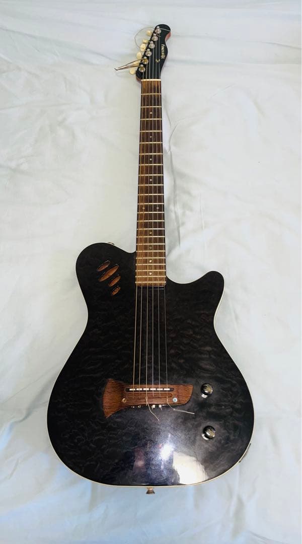 History エレガットギター HEG-120