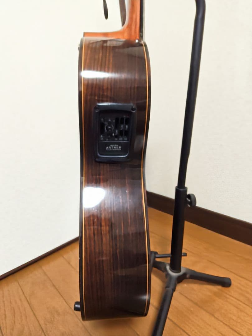 Jose Ramirez 4N-CWE / L.R.Baggs Anthem搭載