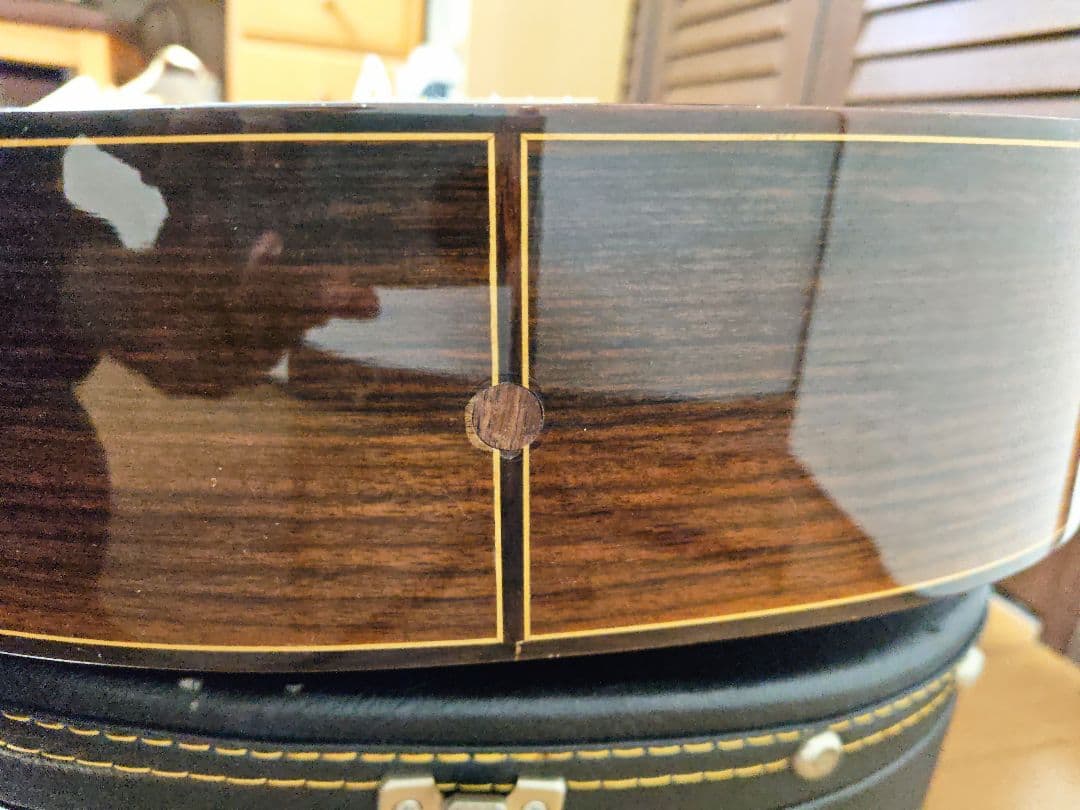 Jose Ramirez 4N-CWE / L.R.Baggs Anthem搭載