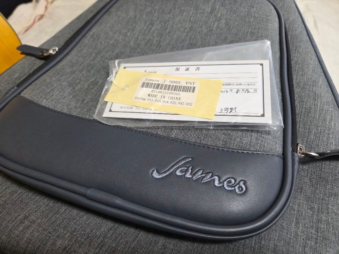 James J500L エレアコ ギター 島村楽器 セミハードケース付 美品