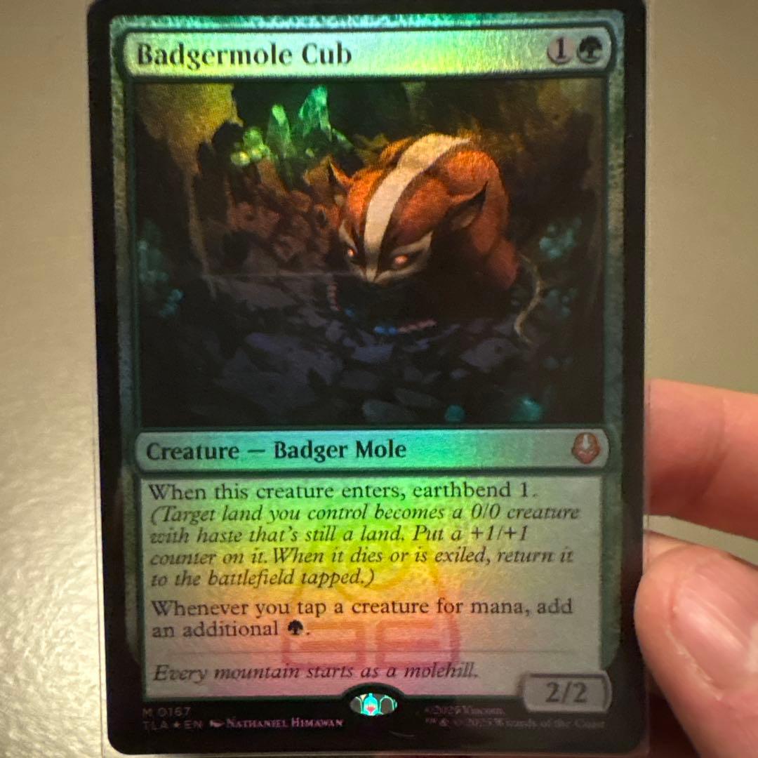 Badgermole Cub クリーチャーカード MTG 英語 Foil Badgermole Cub | Avatar: The Last Airbender | Star City Games