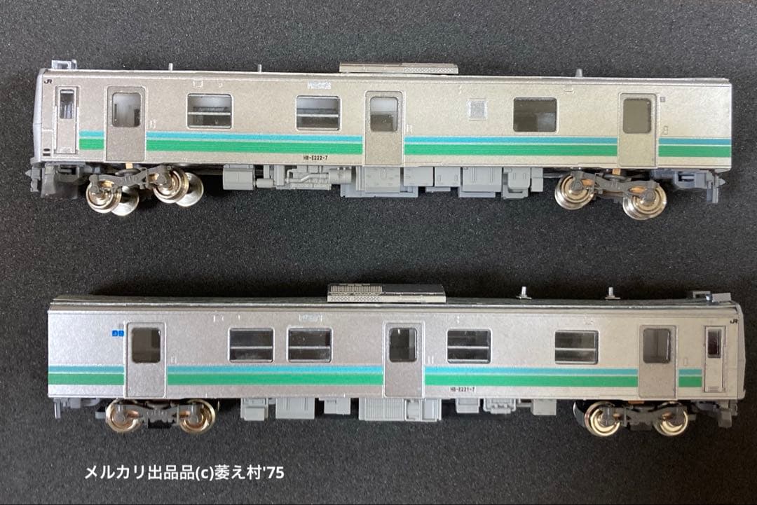 特製組立品 Nゲージ HB-E220 暖地向け(八高線)2両セット - メルカリ