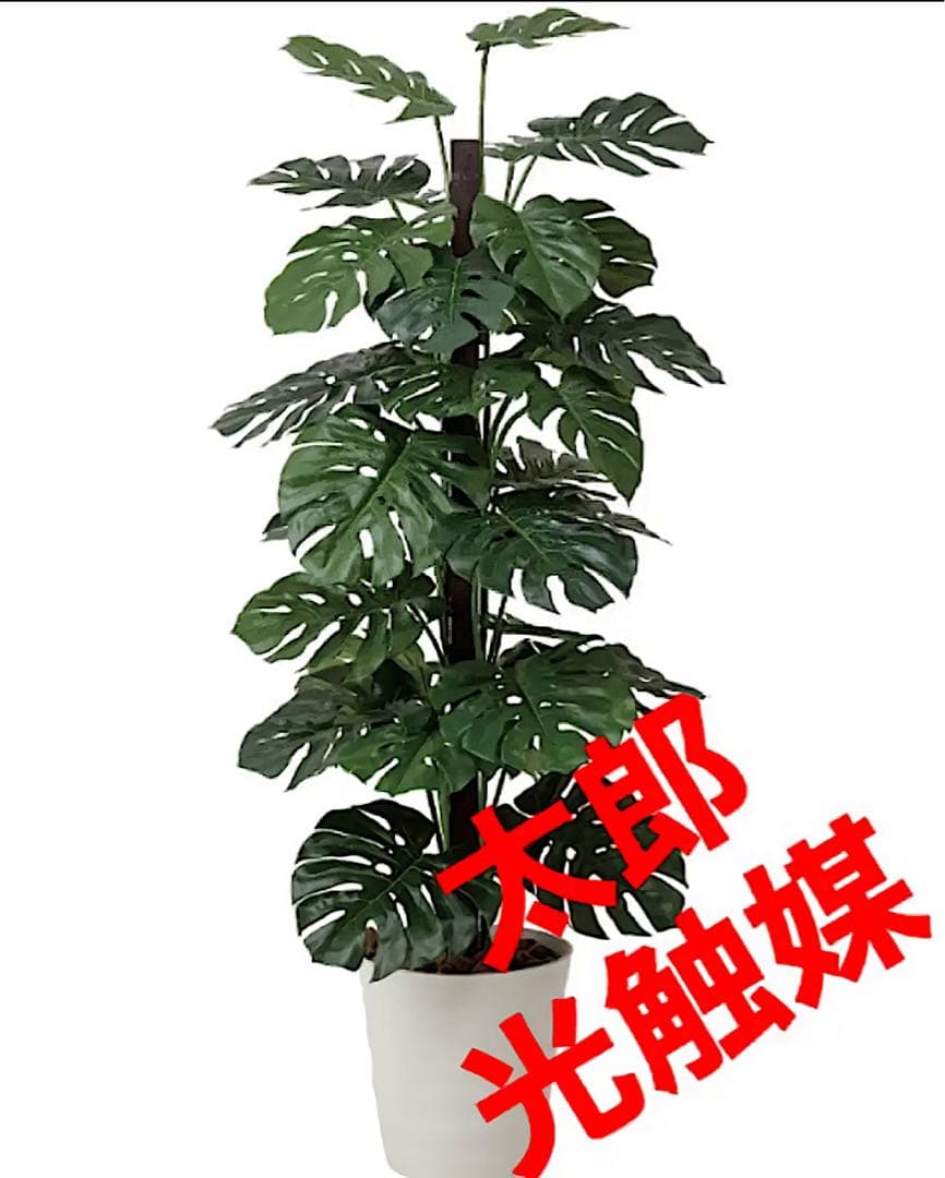 光触媒　人工観葉植物　ウォールグリーン　フェイクグリーン　モンステラ180 光触媒 人工観葉植物 ウォールグリーン 造花 インテリア oモンステラ