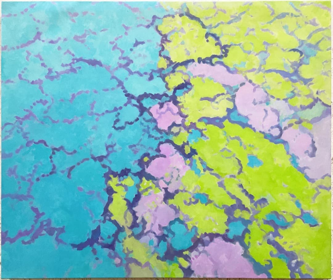 絵画 890 油絵/抽象画風/自然の造形/ひび割れ/F20号 絵画