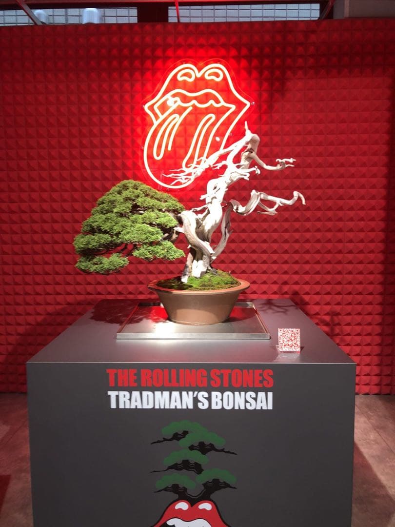 TRADMAN'S BONSAI ローリングストーンズ TシャツXL/ホワイト - メルカリ