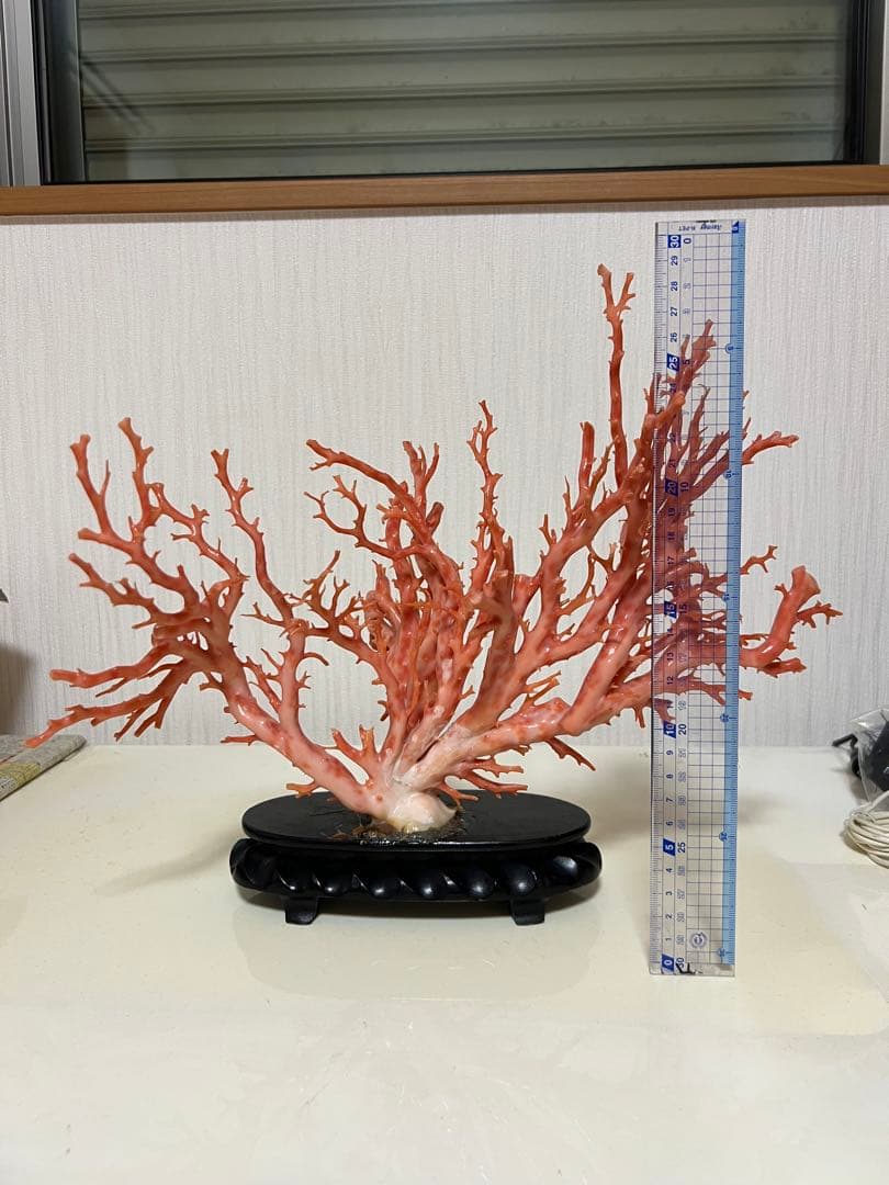 天然深海赤珊瑚 ピンク珊瑚 枝珊瑚 置物 宝石 原木 sango サンゴ 希少