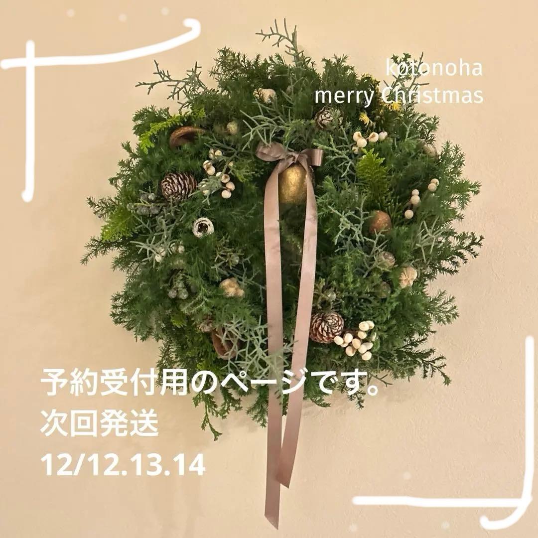 大人のクリスマスリース 約30センチ ※予約用 クリスマスリース 30cm 【送料無料】 DEPOS