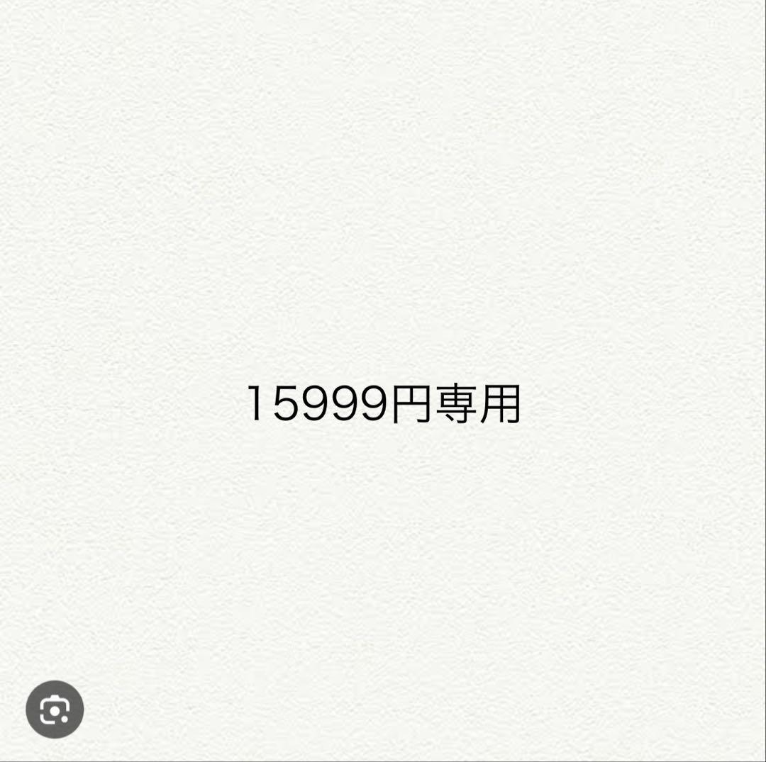 15999円専用 8_000000001368.jpg?1678209903