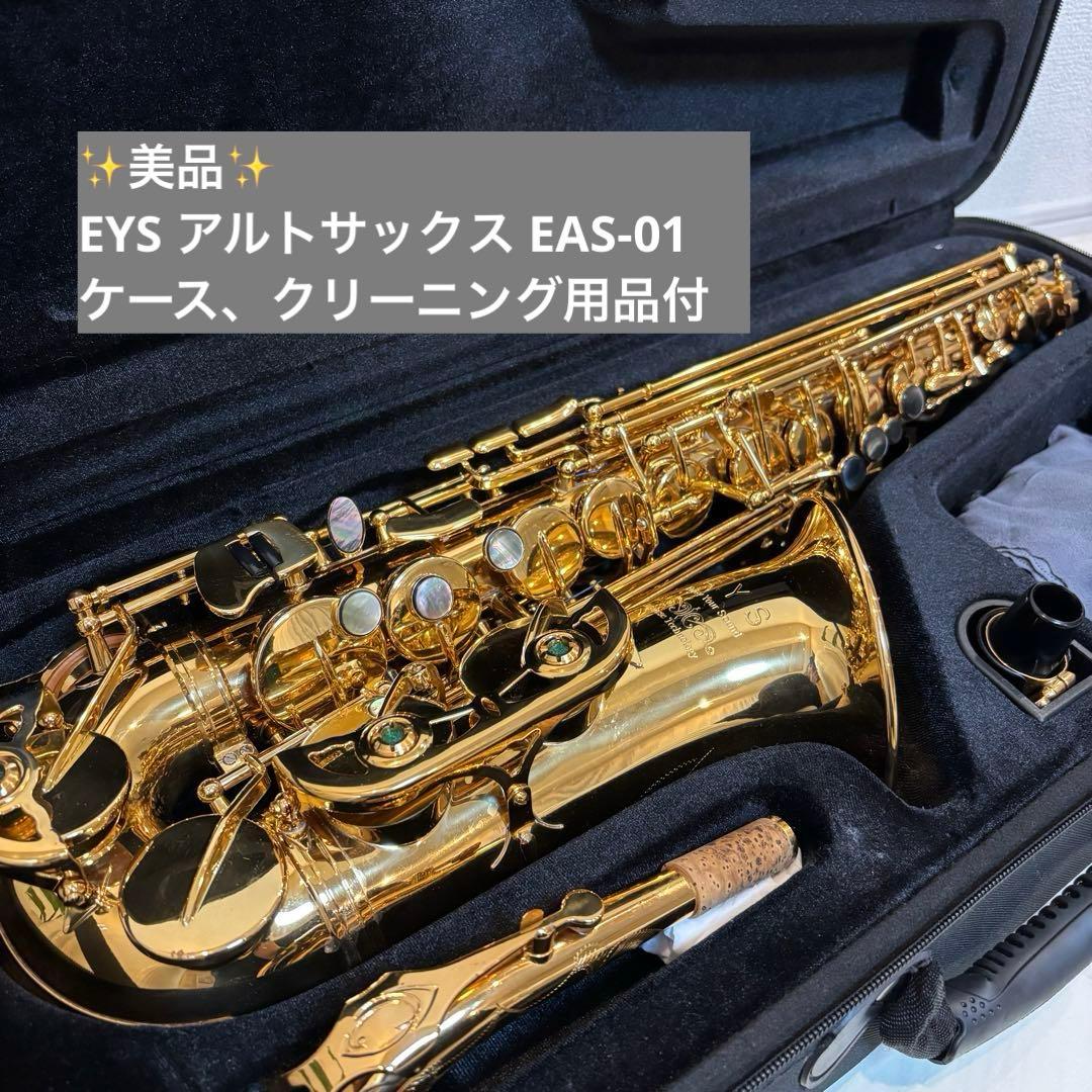 EYS アルトサックス EAS-01 ケース、クリーニング用品付 - メルカリ