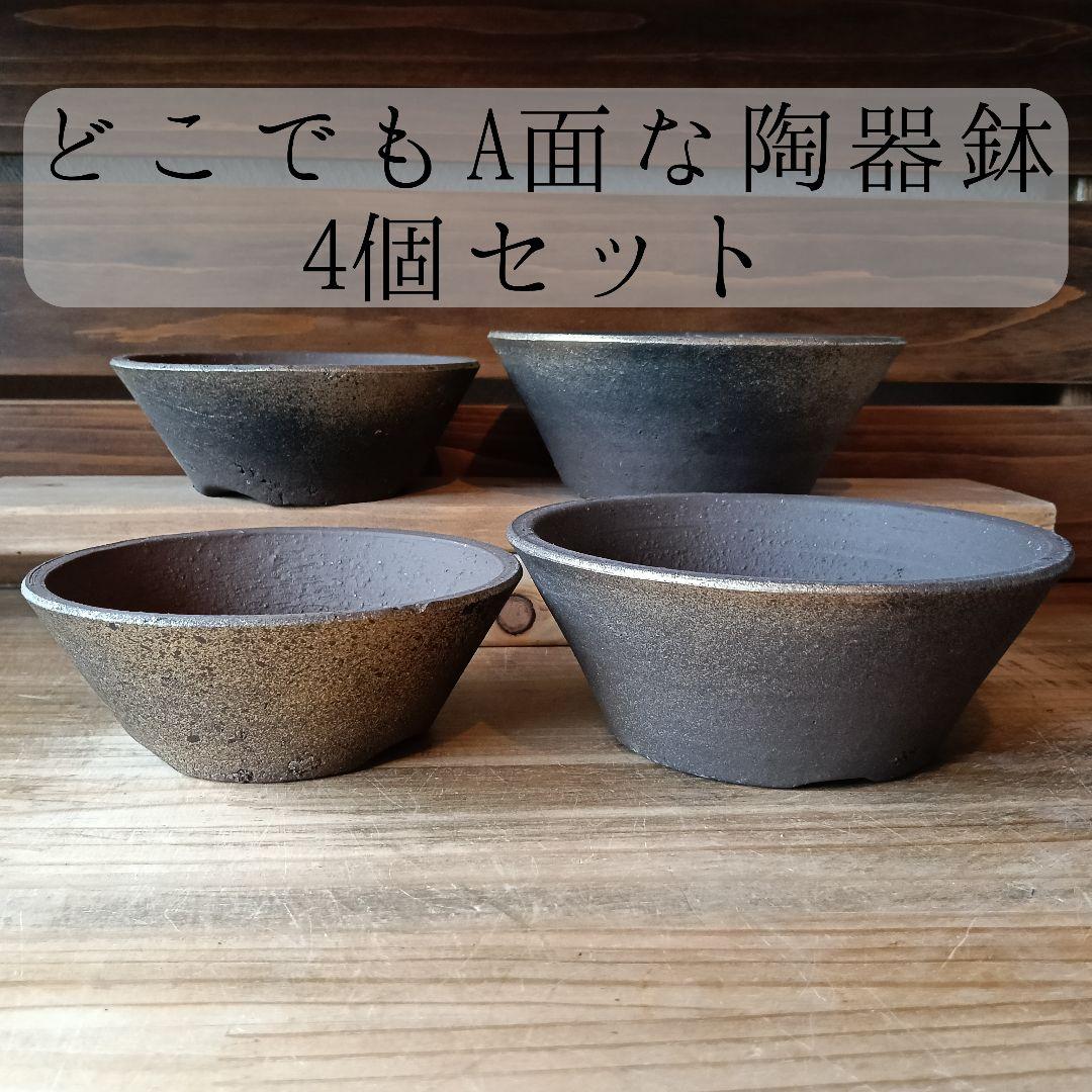 ① MIYABI みやび鉢 陶器鉢 平鉢 塊根 アガベ サボテン 4個セット