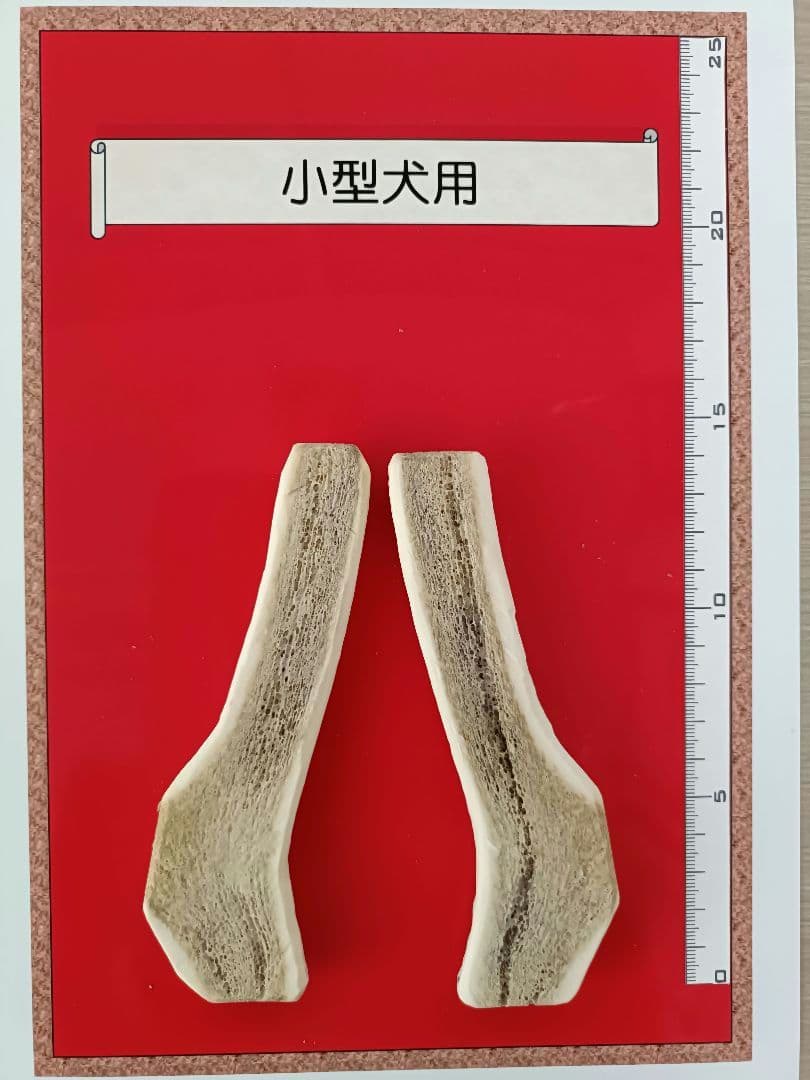 天然北海道産】蝦夷鹿の角 半割り⑦ - メルカリ