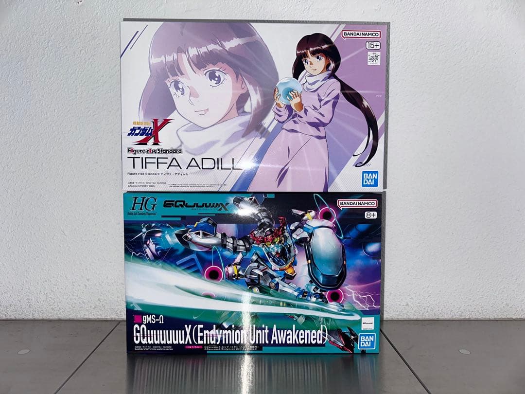 HG ジークアクス(エンディミオン・ユニット覚醒時) ＆ ティファ