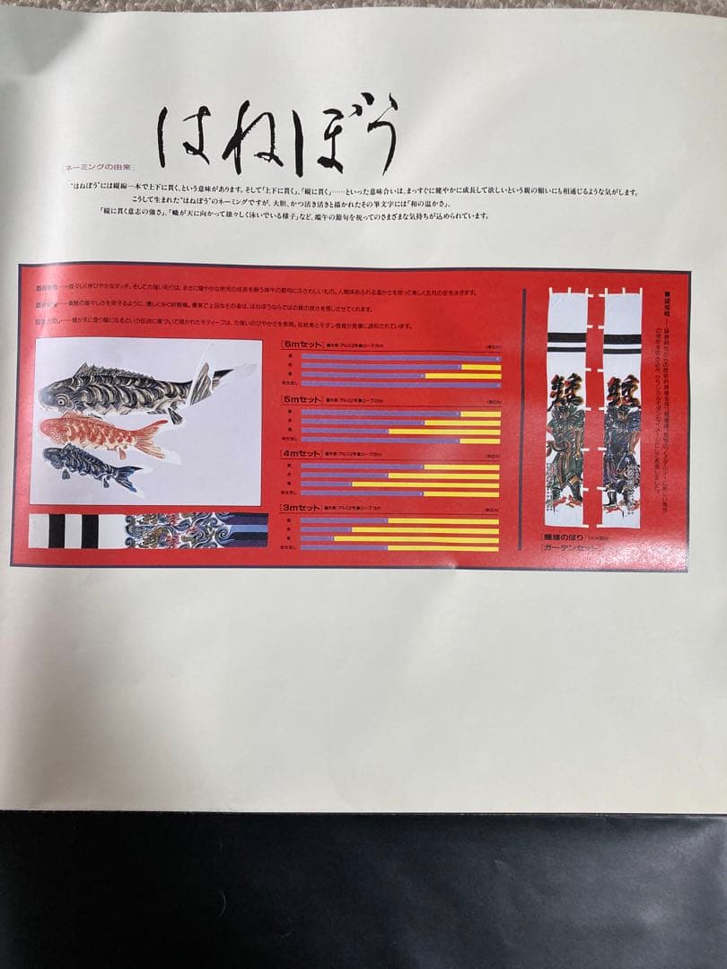 鯉のぼり大家族7点山本寛斎監修作はねぼう12mポールセット（一部品無し）