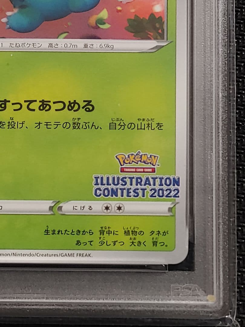 鑑定済み】イラストコンテスト2022 ポケモンカード フシギダネ PSA10